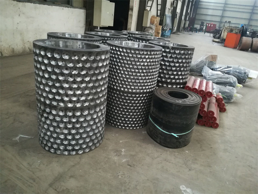 Supply 1-30t/h Briquette Machine Roll Segment and Bearing Chocks for Cold Hot Roller