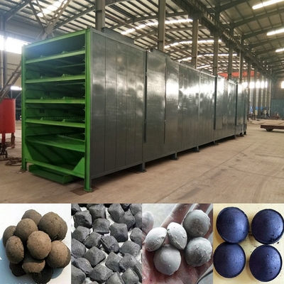 Installation Guidance Provided Continuous Mesh Belt Drying Equipment for Briquettes
