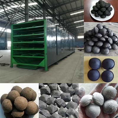 Installation Guidance Provided Continuous Mesh Belt Drying Equipment for Briquettes